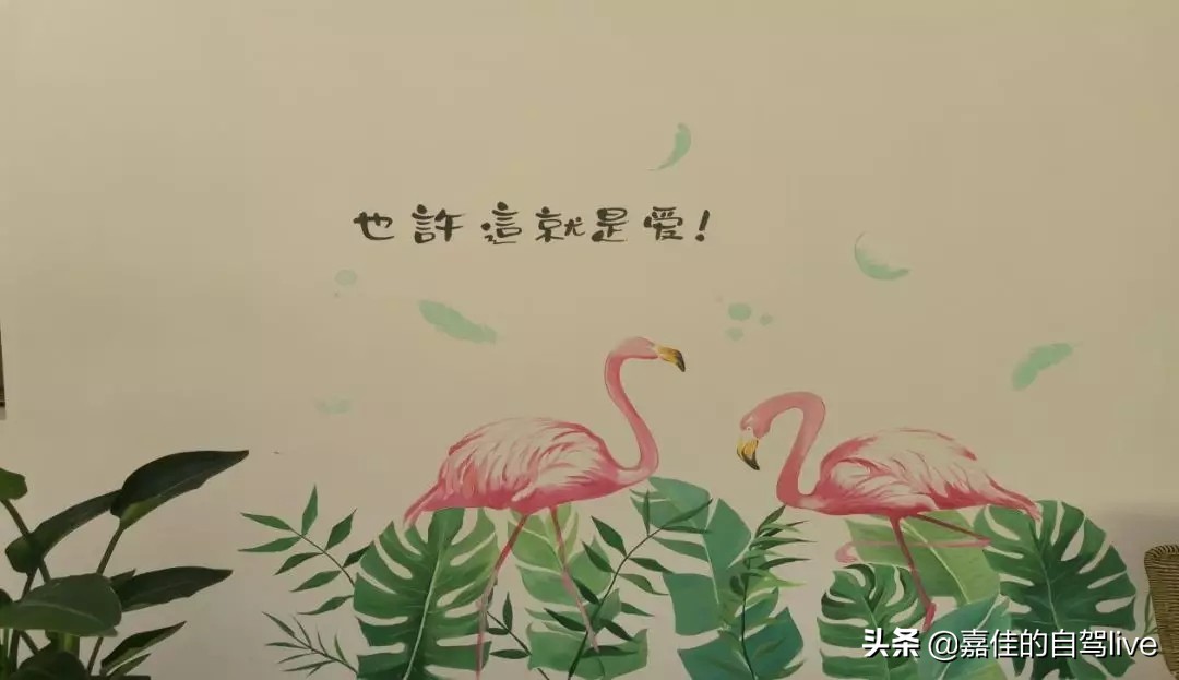 漳州两日一夜自驾游攻略,漳州自驾游两日游攻略