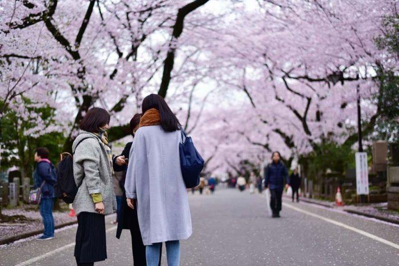 【日本樱花2019】东京美食攻略邻近赏樱景点|10间餐厅推介(上)