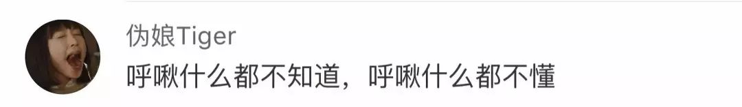 黑猫不吉利是谁说的,黑猫不吉利是真的吗