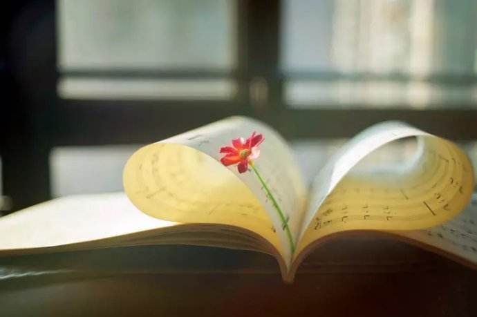 爆文标题的套路和方法,如何快速打造爆文标题