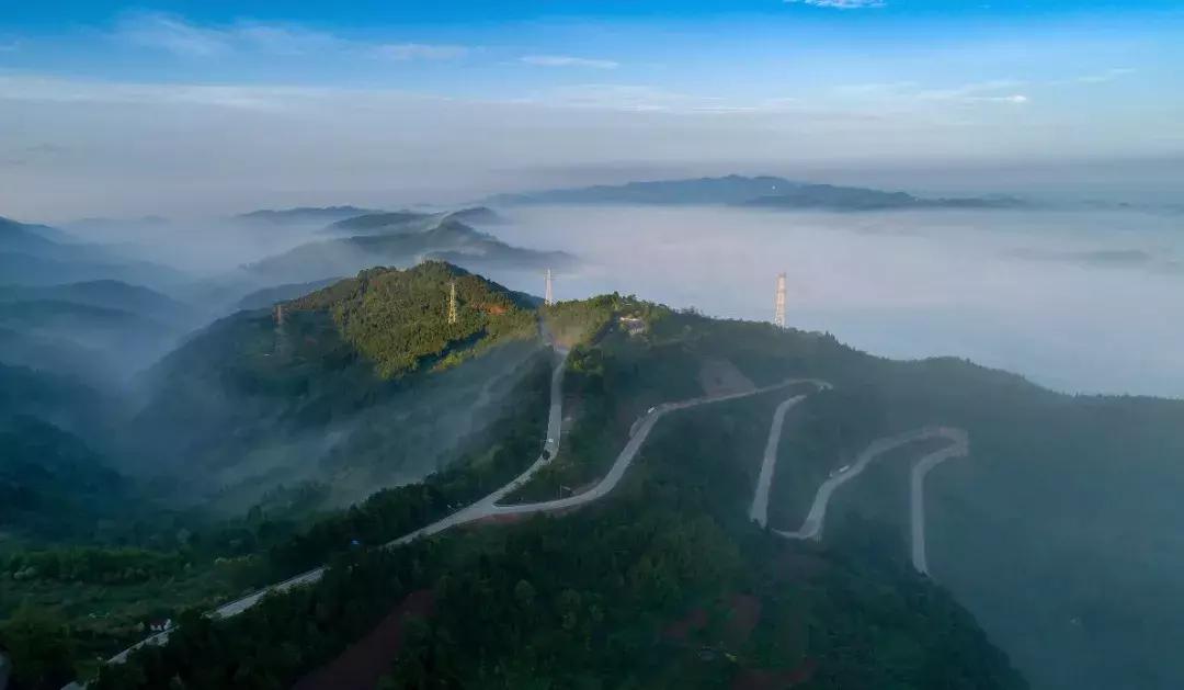 全球最大的城市森林公园,全球最绿色的城市