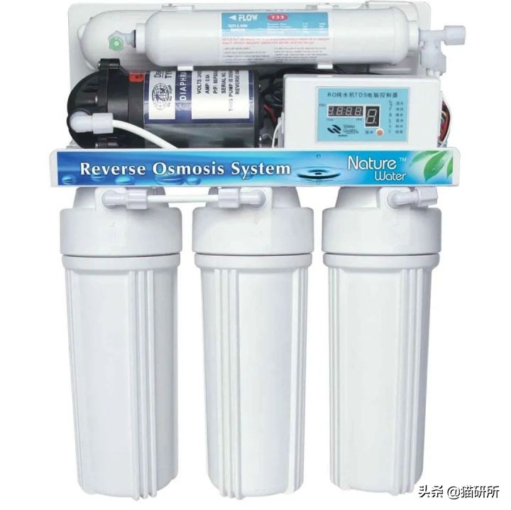 猫咪到底能不能喝矿泉水,猫咪喝自来水会结石吗