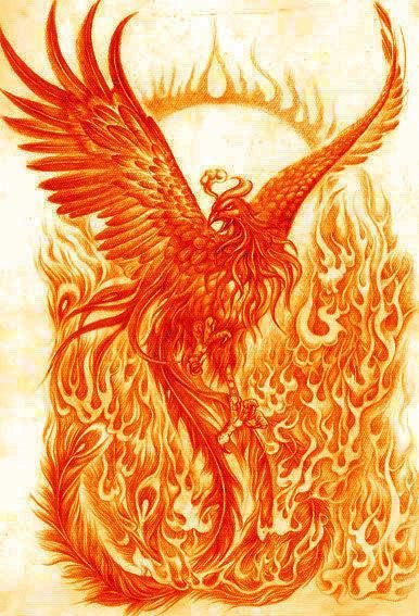 除了山海经还有什么异兽的书,山海经神兽鲲鹏