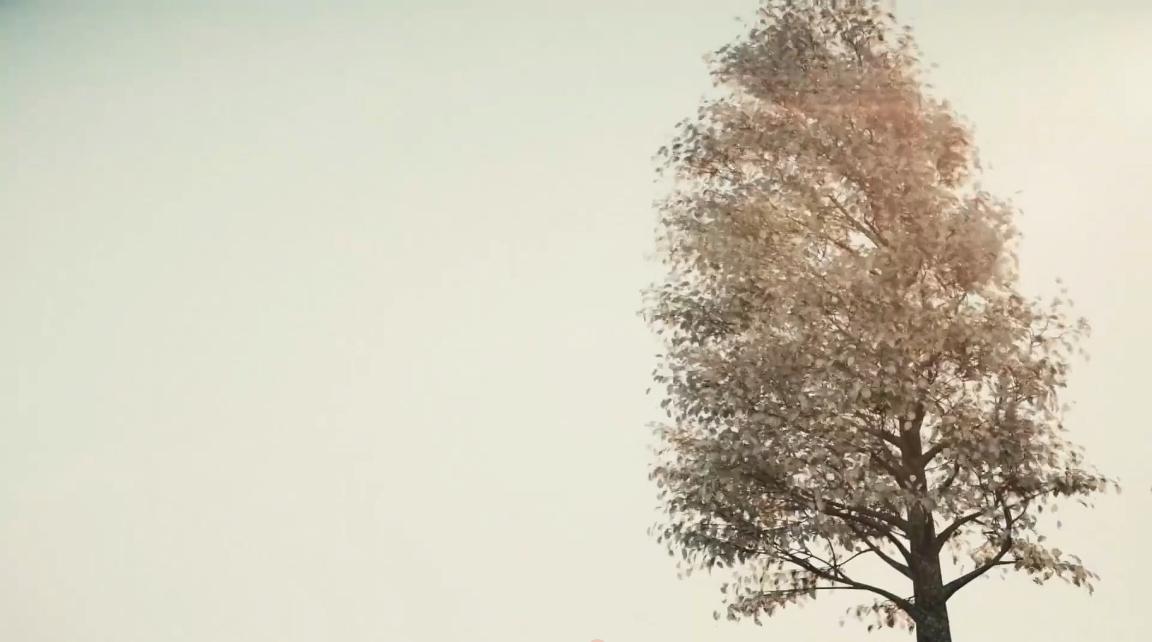 如果地球上100年不下雨怎么办,如果未来地球100年一直下雨会怎样