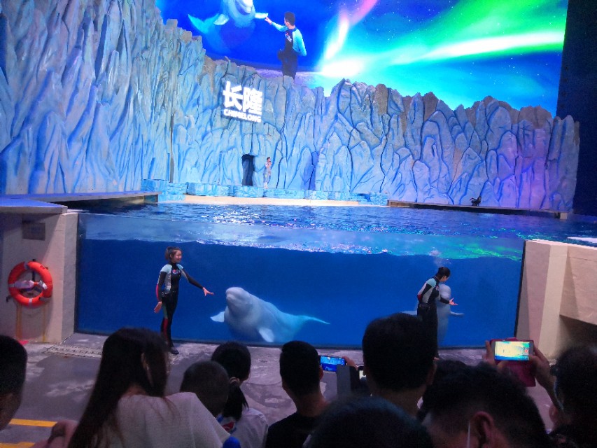 旅游珠海长隆海洋王国,畅游珠海长隆海洋王国