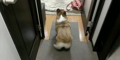 「JALOUSE」有一说一,我确实馋他们的身子