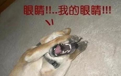 有哪些保护眼睛的小妙招100字,眼科医生推荐怎么保护眼睛