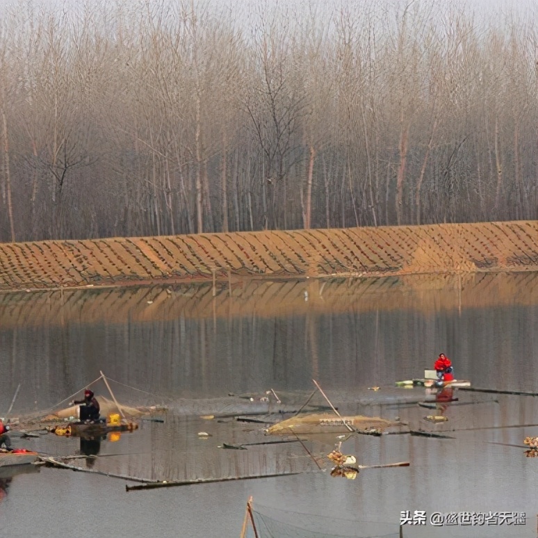 冬季传统钓朝天钩用几号线组合适,贾老抠冬季钓回锅鱼线组最佳搭配