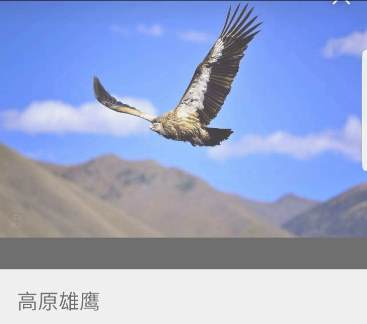 超越教育培训,超越教育怎么样