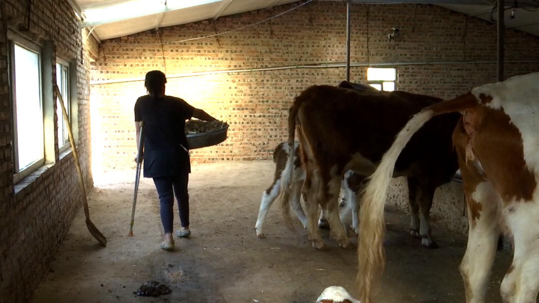 蒙古马精神脱贫,弘扬蒙古马精神