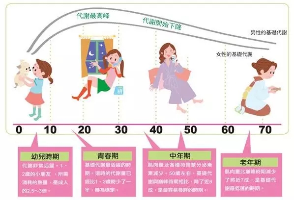 减肥变瘦基础代谢为什么提高了,快速减脂提高代谢的方法