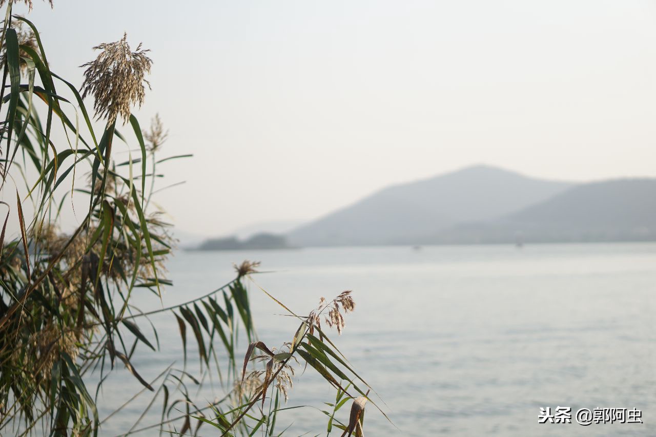 蠡园无锡,无锡蠡园视频