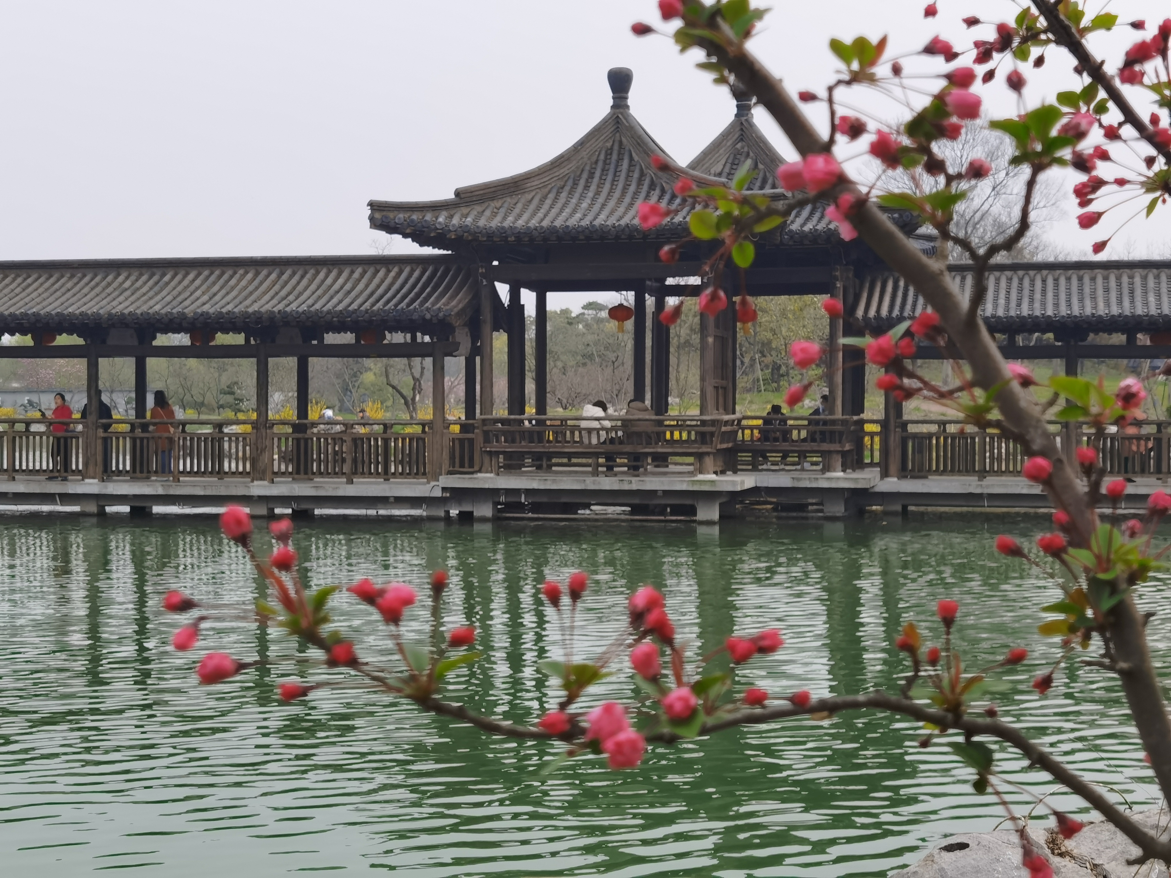 三月的瘦西湖到底有多美,瘦西湖景色到底有多美