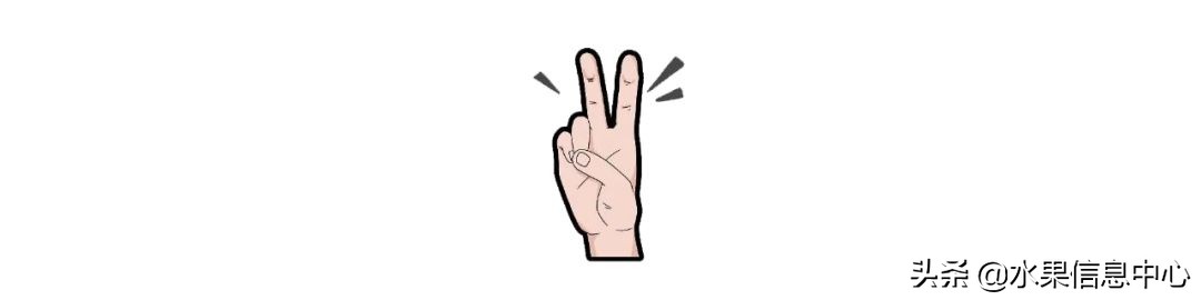 水果批发市场卖水果怎么收费,新手去水果批发市场的几大技巧