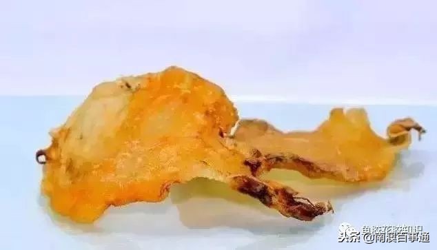 涨知识!鱼胶种类大全,不看亏大了!