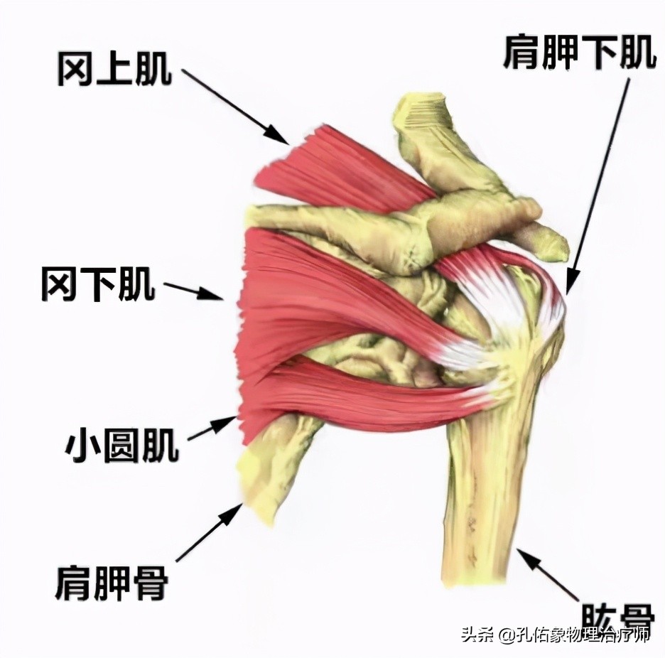肩膀疼痛也不是肩周炎是怎么回事,肩周炎肩膀疼痛4个方法