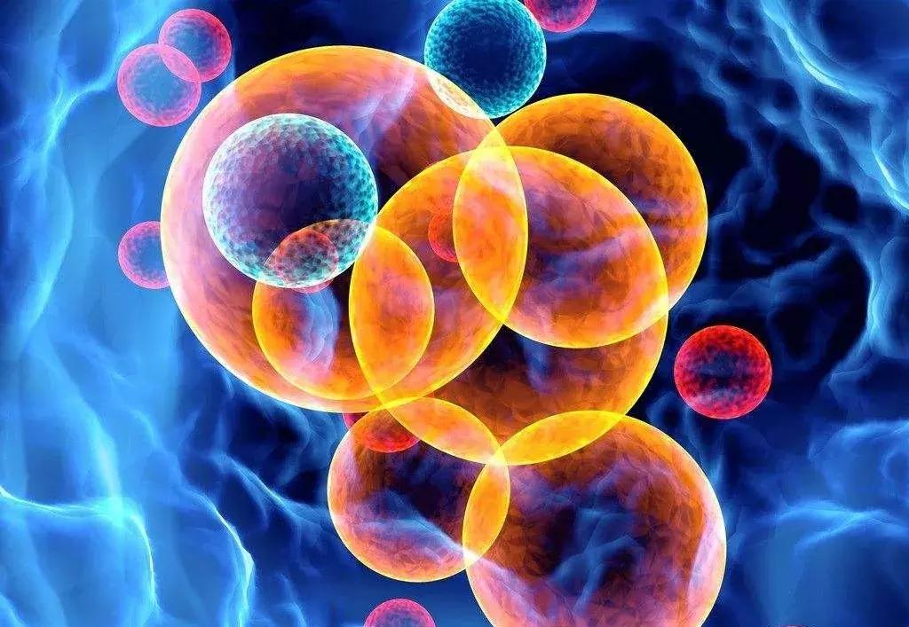 有什么办法可以快速除掉鱼缸气泡,亚克力鱼缸表面的污渍怎么去除