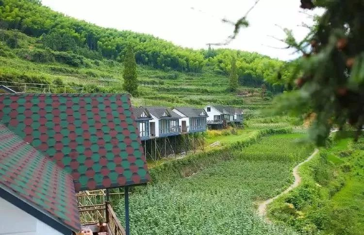 丽水缙云民宿客栈推荐,浙江丽水最好的民宿