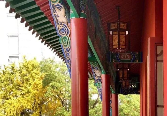 红墙抖音,红墙视频抖音