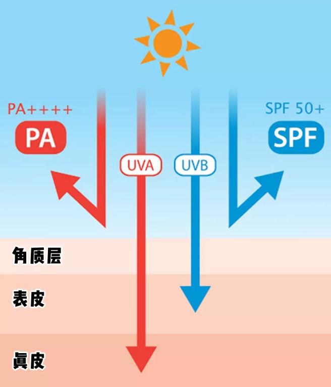 日本防晒国产防晒,好用的不是日本牌子的防晒