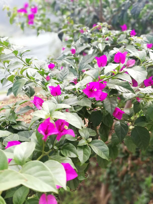 婚姻背后的真相看完倒吸一口冷气,婚姻出现了裂痕要怎么和老公沟通