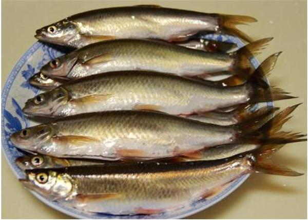 常见的6种食材,常见的6种很装的食材