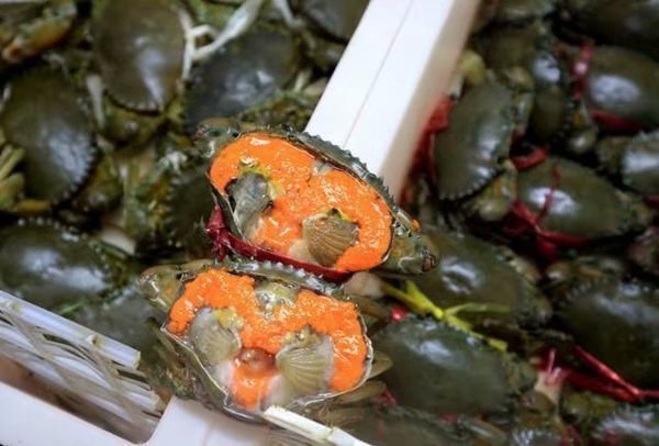 带孩子出发去海南三亚,带孩子去三亚不如去哪里