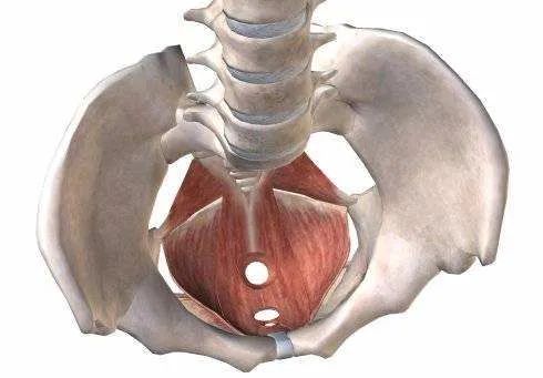 生完小孩后尿控制不住怎么办,生完孩子排尿不好怎么办