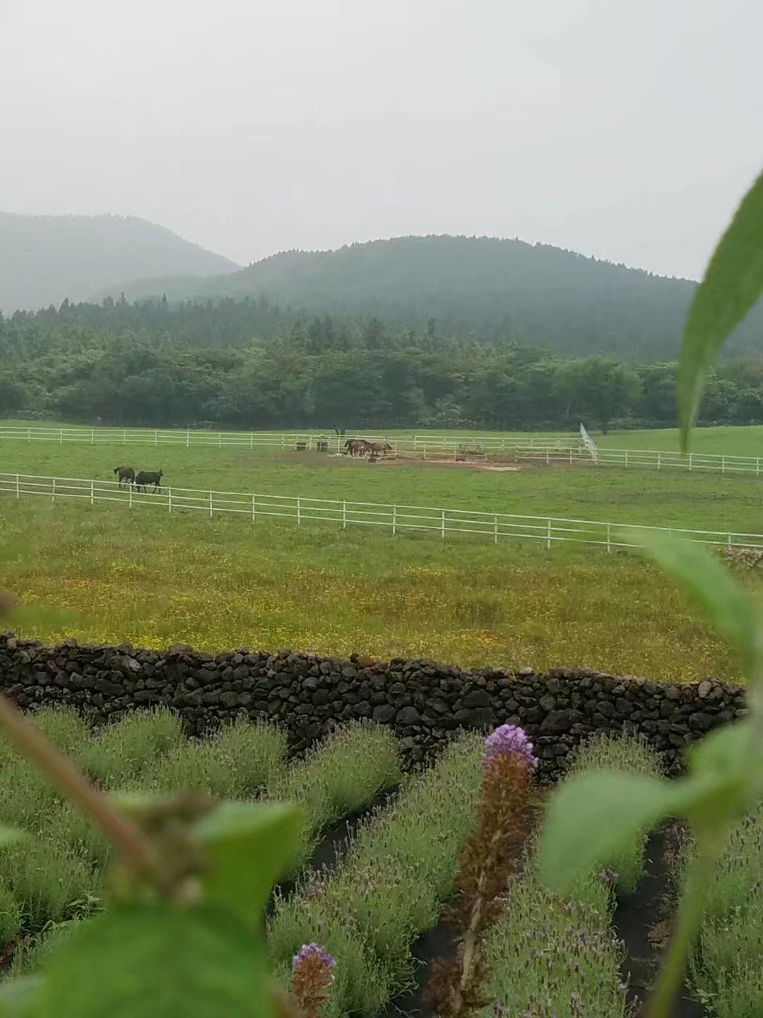 济州岛万丈窟旅游攻略,济州岛万丈窟