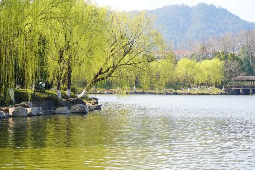 杭州美职学校风景,杭州美丽学校评选