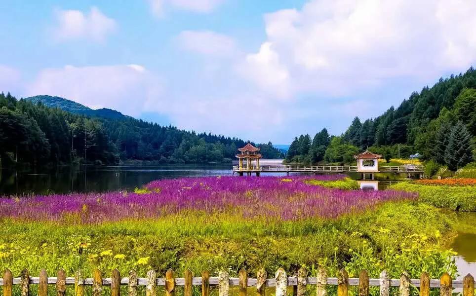 吉林秋日美食推荐,贴秋膘的季节一顿不吃饿得慌