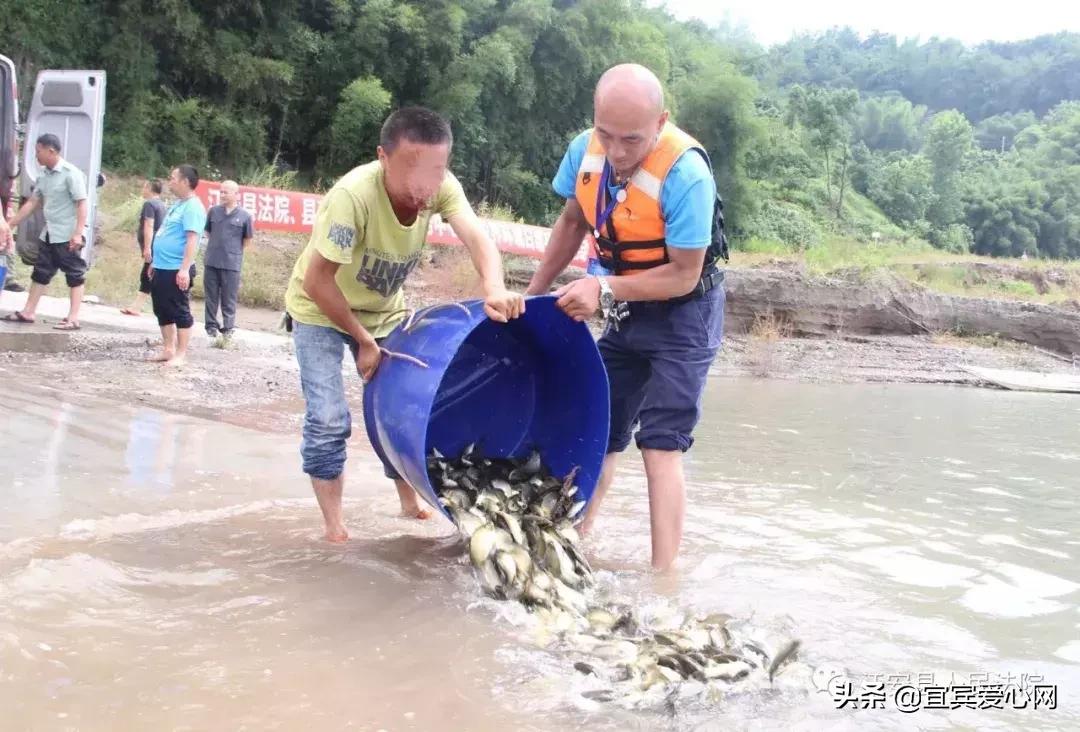 长记性啦，为啥在宜宾不能乱捕泥鳅黄鳝？江安县法院有话说