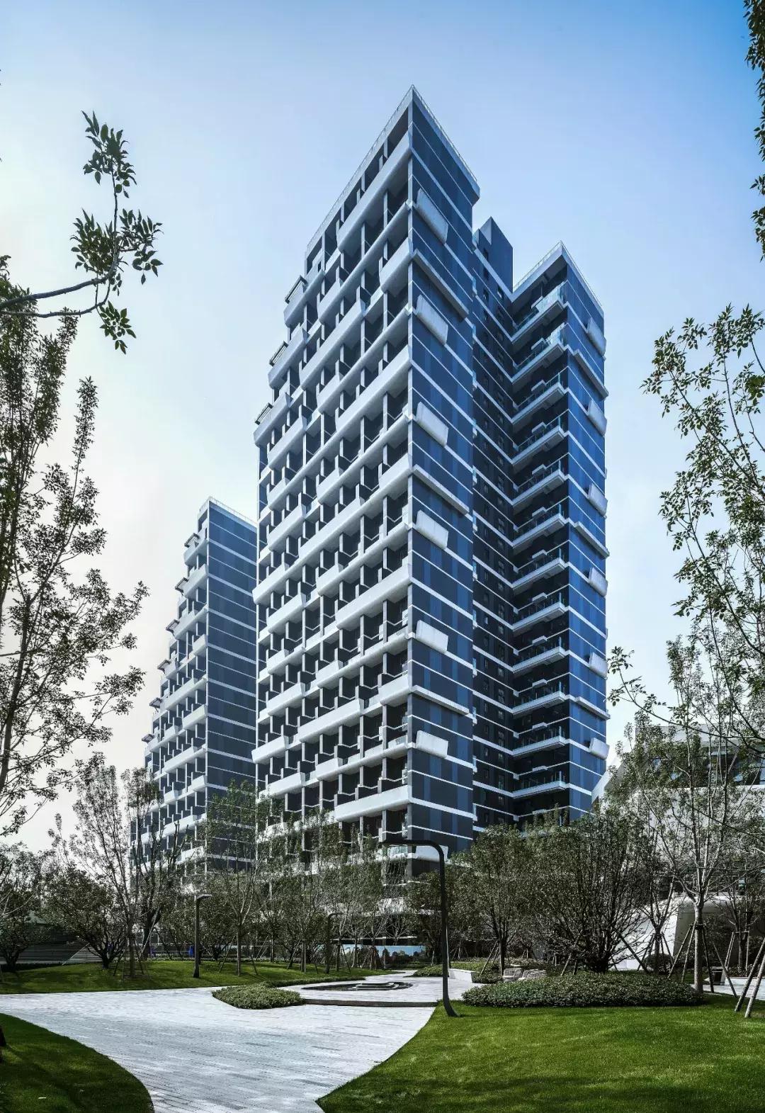 盘点郑州这些C位出道的热盘