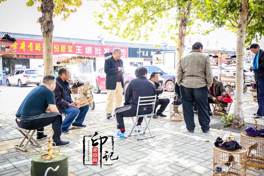 商丘道北花鸟批发市场,商丘花鸟宠物市场