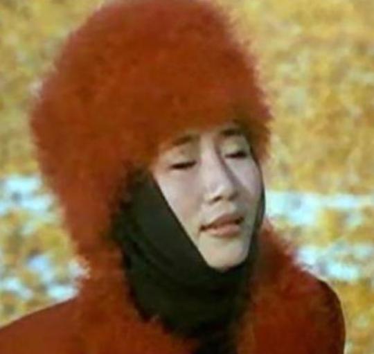 李娜经历了哪些事,李娜的整个人生过程