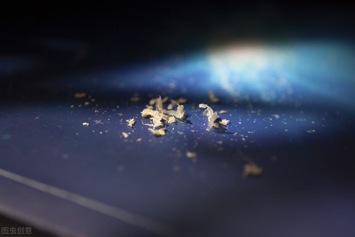 在显微镜下的耳屎有多脏,把耳屎放在显微镜下是什么