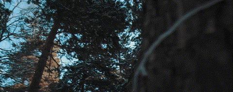 旅拍难不难,旅拍修图技术差怎么解决