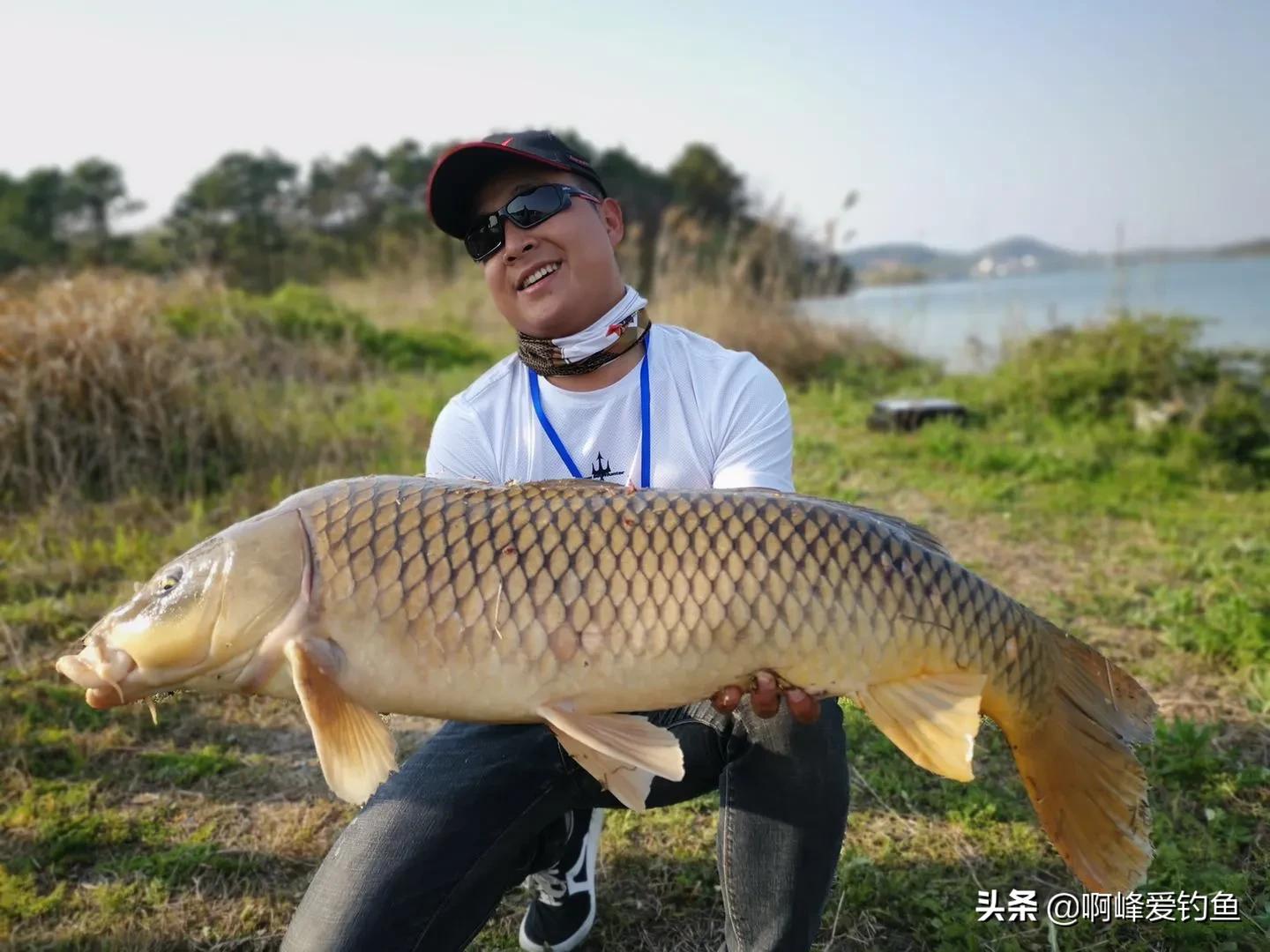 野钓如何钓底层鱼类最好,野钓怎么钓大个体鱼