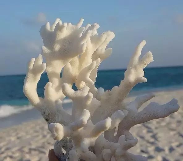 美丽又神秘的三沙,三沙的大美风光