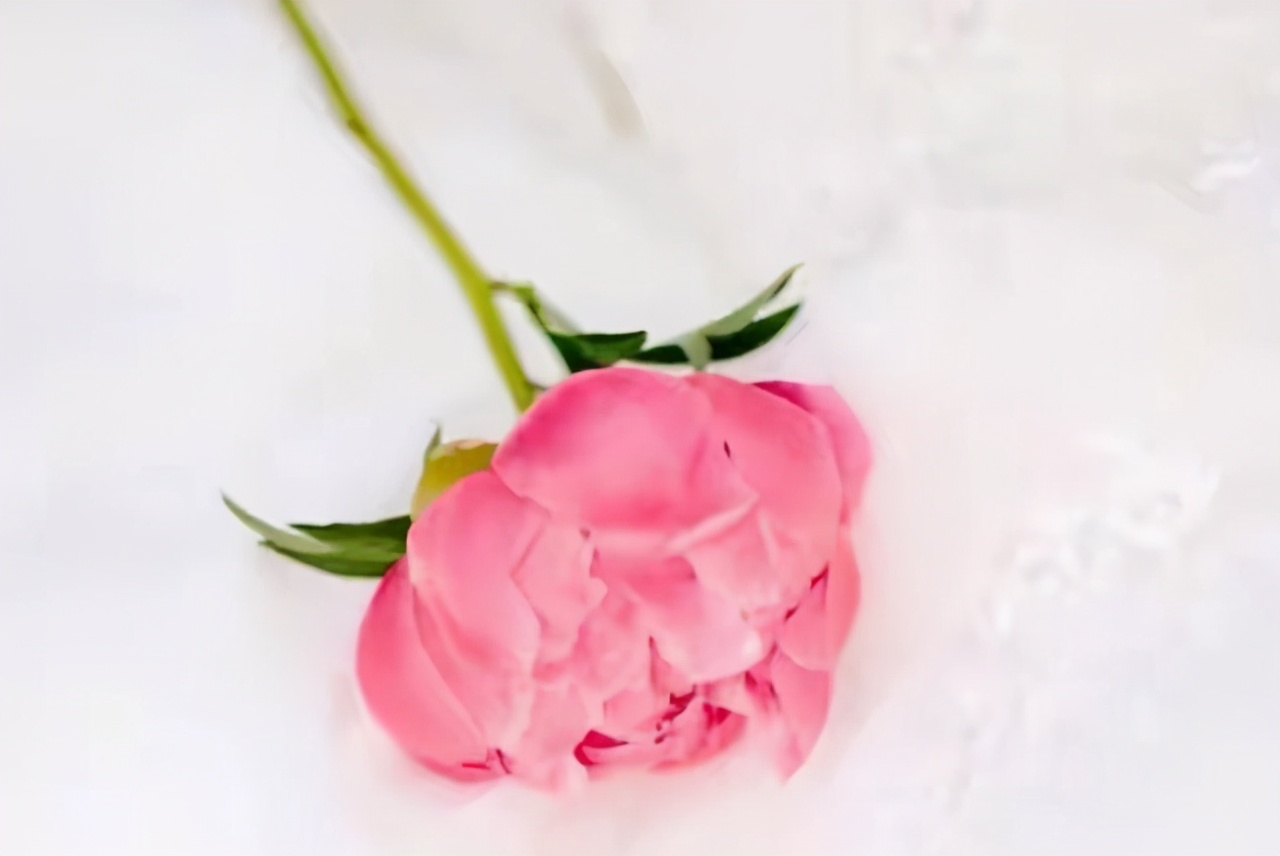 真正值得嫁的女人,真正值得你嫁的人