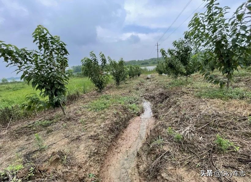 7天3000公里,宝马x57000公里发现烧机油