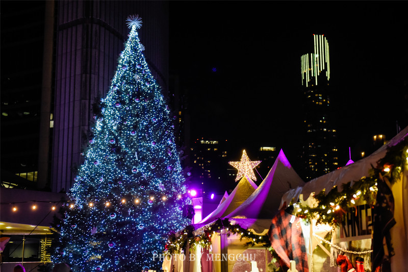 多伦多保姆级城市,多伦多的保姆