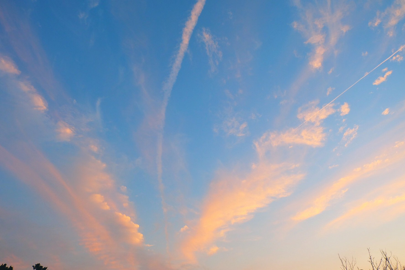 骆驼青岛,骆驼旅行在路上