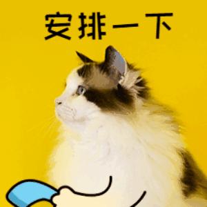 蔻驰和迪士尼联名包,蔻驰迪士尼联名包