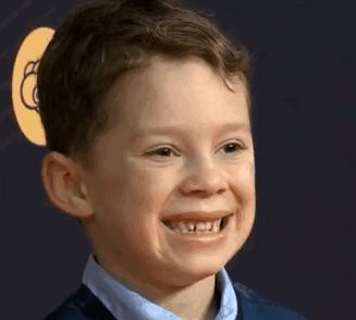 有必要代购日本的产品吗,被吹上天的国货有什么用