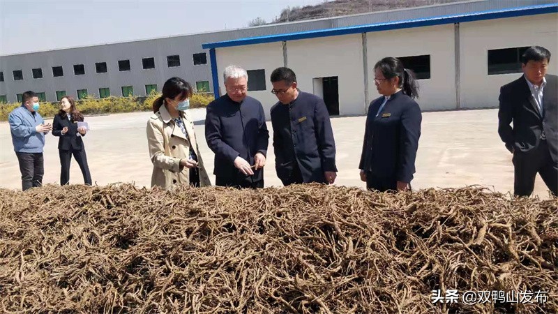 中药材种植生态化发展,中药材生态种植