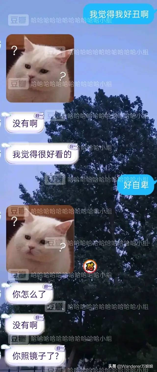 哈哈哈哈哈哈我笑到我妈把鞋塞我嘴里