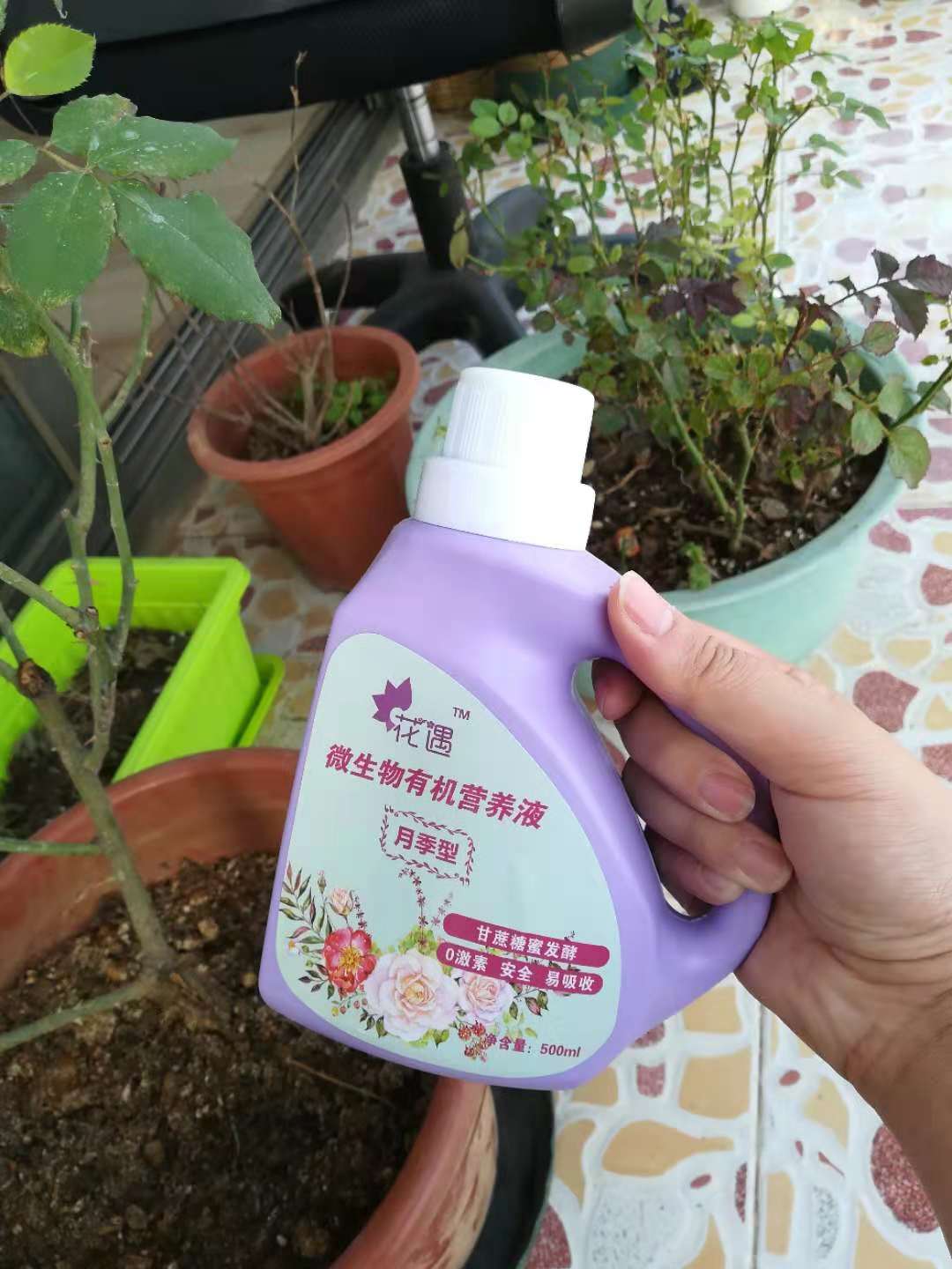 天了噜，花遇福利，“清凉”来袭啦