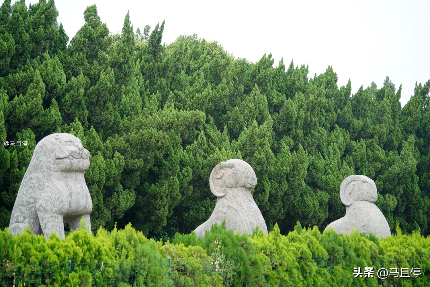 巩义到郑州游玩攻略,郑州巩义一日游景点推荐路线