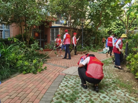 鍝佽川铚曞彉,鍝佽川铦跺彉